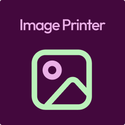 Printer ng Imahe